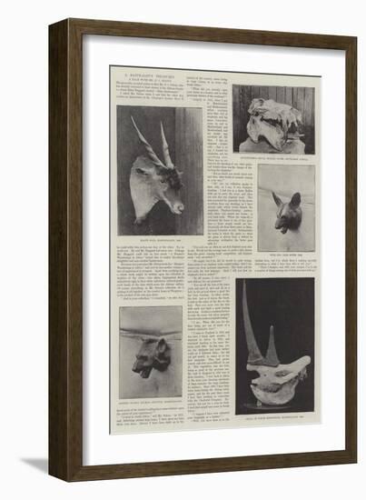 A Naturalist's Treasures-null-Framed Giclee Print