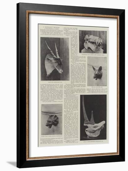 A Naturalist's Treasures-null-Framed Giclee Print