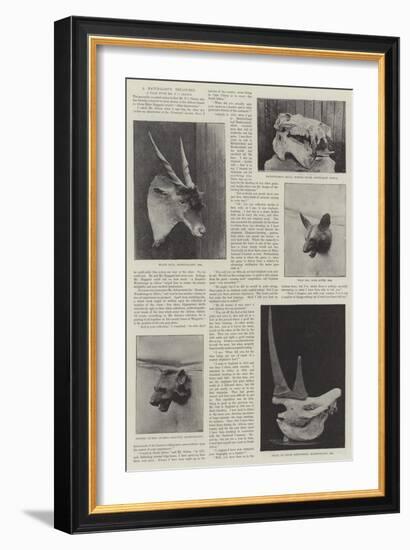 A Naturalist's Treasures-null-Framed Giclee Print