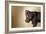 A Naughty Chocolate Labrador Mixed Breed Puppy Looks At The Camera-Karine Aigner-Framed Photographic Print