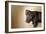 A Naughty Chocolate Labrador Mixed Breed Puppy Looks At The Camera-Karine Aigner-Framed Photographic Print