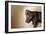 A Naughty Chocolate Labrador Mixed Breed Puppy Looks At The Camera-Karine Aigner-Framed Photographic Print