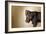 A Naughty Chocolate Labrador Mixed Breed Puppy Looks At The Camera-Karine Aigner-Framed Photographic Print