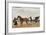 A Nawab Standing by His Horse Drawn Gharry or Carriage Attended by His Groom Bearing a Chauri-Shaikh Muhammad Amir Of Karraya-Framed Giclee Print