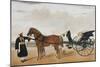 A Nawab Standing by His Horse Drawn Gharry or Carriage Attended by His Groom Bearing a Chauri-Shaikh Muhammad Amir Of Karraya-Mounted Giclee Print