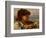 A Neapolitan Boy (Oil on Canvas)-Sophie Anderson-Framed Giclee Print