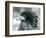 A near Threatened Bateleur Eagle at London Zoo in 1927 (B/W Photo)-Frederick William Bond-Framed Giclee Print