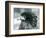 A near Threatened Bateleur Eagle at London Zoo in 1927 (B/W Photo)-Frederick William Bond-Framed Giclee Print