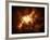 A Nebula Surrounded by Stars-Stocktrek Images-Framed Photographic Print