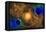 A Nebulous Alien Planetary Star System-null-Framed Stretched Canvas