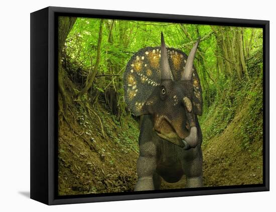 A Nedoceratops Wanders a Cretaceous Forest-Stocktrek Images-Framed Premier Image Canvas