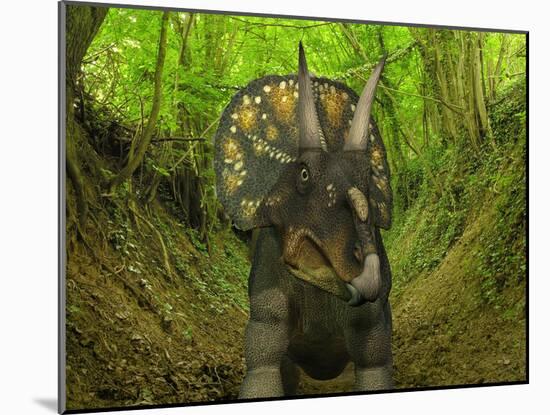 A Nedoceratops Wanders a Cretaceous Forest-Stocktrek Images-Mounted Photographic Print