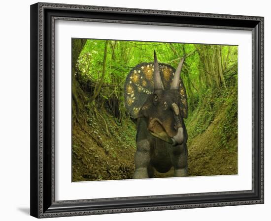 A Nedoceratops Wanders a Cretaceous Forest-Stocktrek Images-Framed Photographic Print