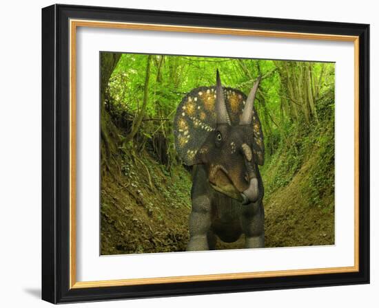 A Nedoceratops Wanders a Cretaceous Forest-Stocktrek Images-Framed Photographic Print