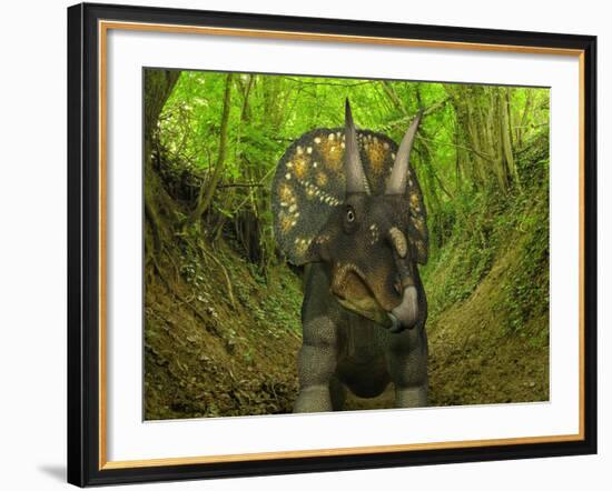 A Nedoceratops Wanders a Cretaceous Forest-Stocktrek Images-Framed Photographic Print