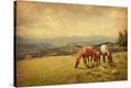 Stretched Canvas Print