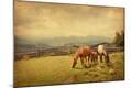 Photographic Print