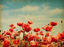 Vintage Paper Textures - Field of Poppies-A_nella-Art Print