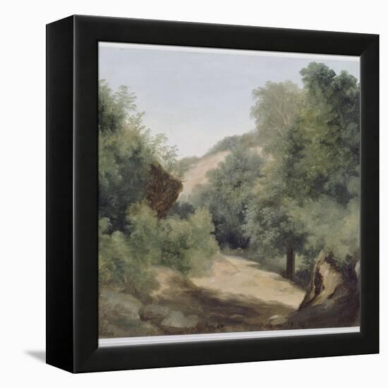 A Nemi : le chemin au soleil-Pierre Henri de Valenciennes-Framed Premier Image Canvas