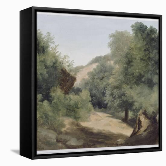 A Nemi : le chemin au soleil-Pierre Henri de Valenciennes-Framed Premier Image Canvas