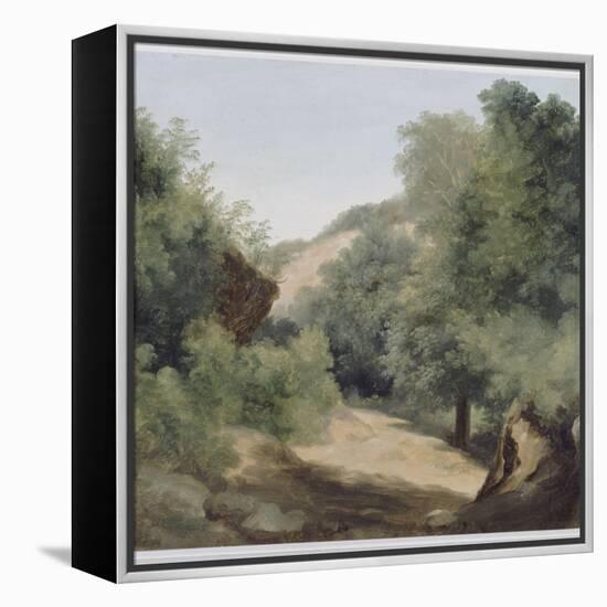 A Nemi : le chemin au soleil-Pierre Henri de Valenciennes-Framed Premier Image Canvas