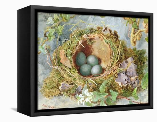 A Nest of Eggs, 1871-Jabez Bligh-Framed Premier Image Canvas
