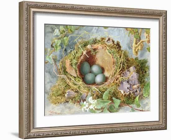 A Nest of Eggs, 1871-Jabez Bligh-Framed Giclee Print
