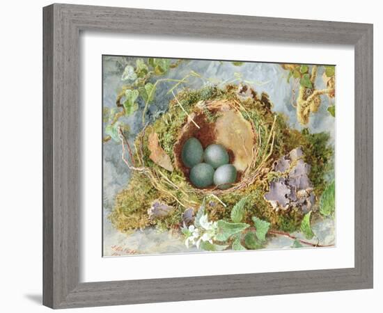 A Nest of Eggs, 1871-Jabez Bligh-Framed Giclee Print