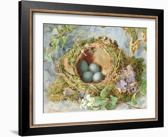 A Nest of Eggs, 1871-Jabez Bligh-Framed Giclee Print