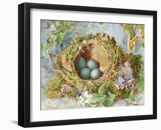 A Nest of Eggs, 1871-Jabez Bligh-Framed Giclee Print