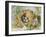 A Nest of Eggs, 1871-Jabez Bligh-Framed Giclee Print