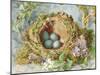 A Nest of Eggs, 1871-Jabez Bligh-Mounted Giclee Print