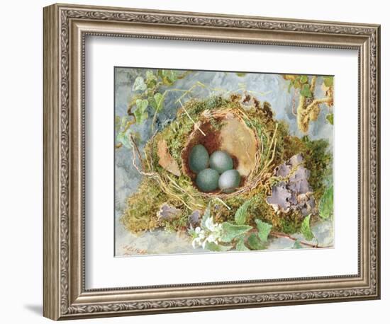 A Nest of Eggs, 1871-Jabez Bligh-Framed Giclee Print