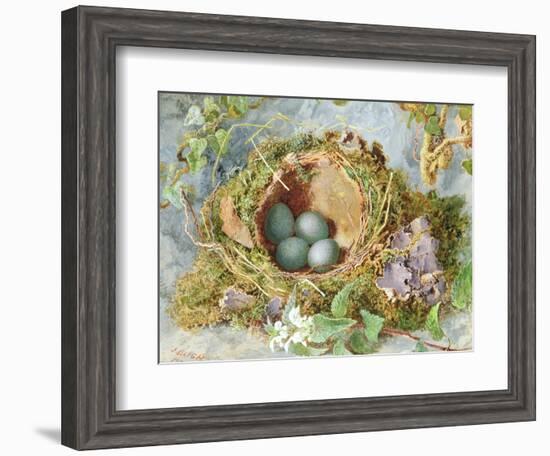 A Nest of Eggs, 1871-Jabez Bligh-Framed Giclee Print