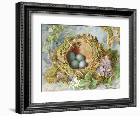 A Nest of Eggs, 1871-Jabez Bligh-Framed Giclee Print