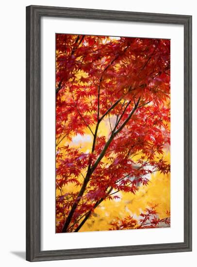 A New Beautiful Day-Philippe Sainte-Laudy-Framed Photographic Print