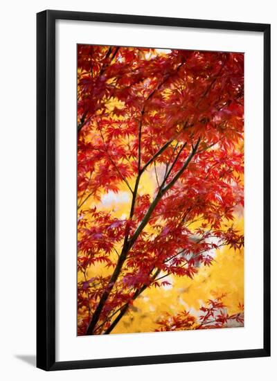 A New Beautiful Day-Philippe Sainte-Laudy-Framed Photographic Print