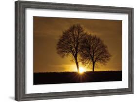 A New Beginning-Ily Szilagyi-Framed Photographic Print
