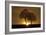 A New Beginning-Ily Szilagyi-Framed Photographic Print