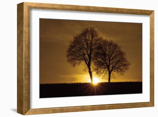 A New Beginning-Ily Szilagyi-Framed Photographic Print