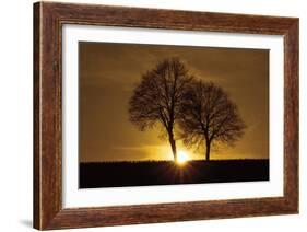 A New Beginning-Ily Szilagyi-Framed Photographic Print
