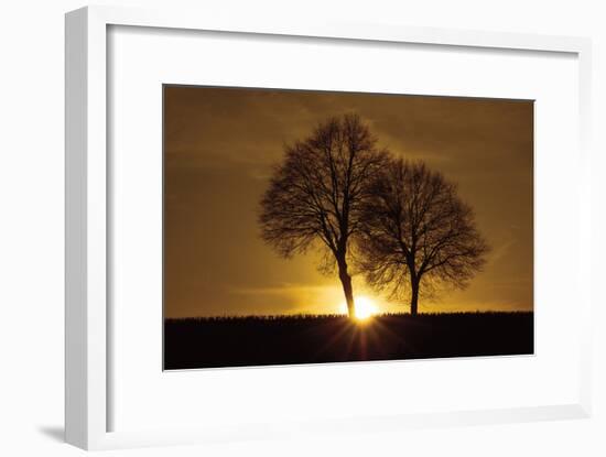 A New Beginning-Ily Szilagyi-Framed Photographic Print