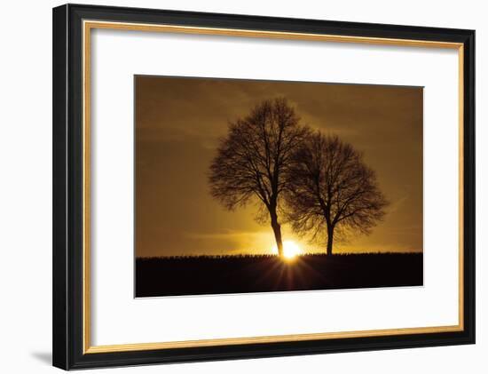 A New Beginning-Ily Szilagyi-Framed Photographic Print