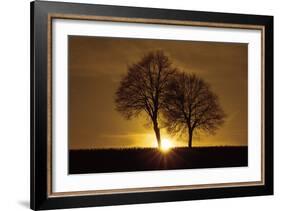 A New Beginning-Ily Szilagyi-Framed Photographic Print