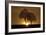 A New Beginning-Ily Szilagyi-Framed Photographic Print