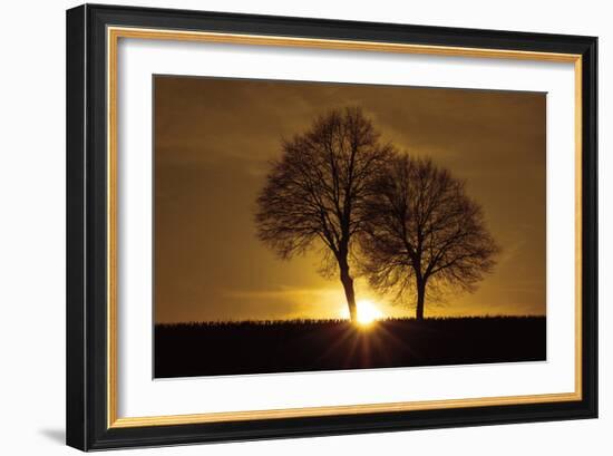 A New Beginning-Ily Szilagyi-Framed Photographic Print