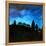 A New Dawn Rising, 2008,-Patricia Brintle-Framed Premier Image Canvas