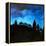 A New Dawn Rising, 2008,-Patricia Brintle-Framed Premier Image Canvas