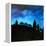 A New Dawn Rising, 2008-Patricia Brintle-Framed Premier Image Canvas