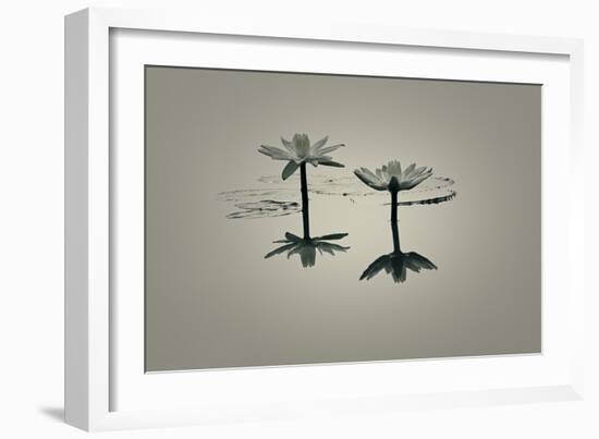 A New Dawn-Valda Bailey-Framed Photographic Print